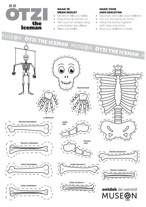 Knipkaart Oetzi-skelet