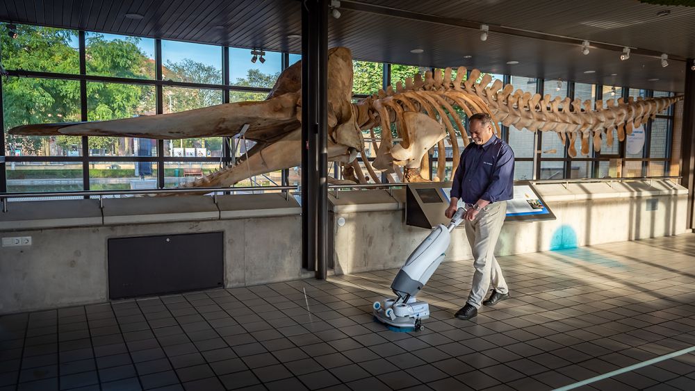 B2 Cleaning in het Museon