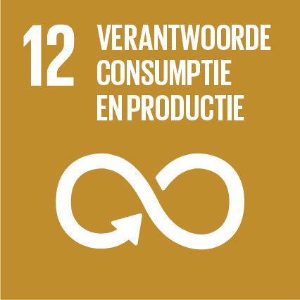 Logo SDG9