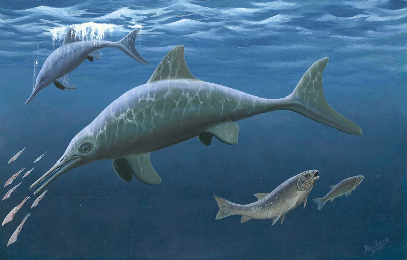 tekening van de ichthyosaurus