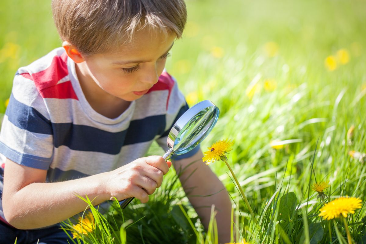 Jongen kijkt met vergrootglas naar een plant