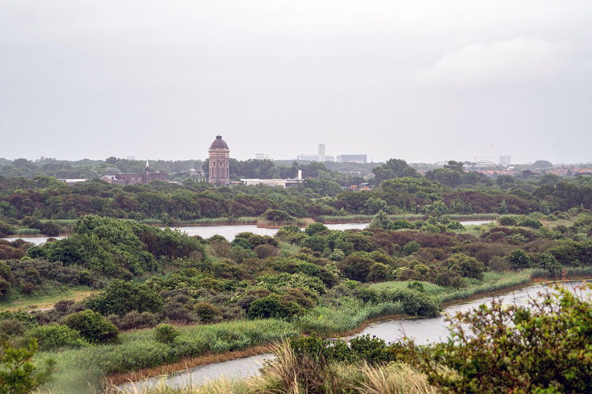 Dunea skyline Scheveningen