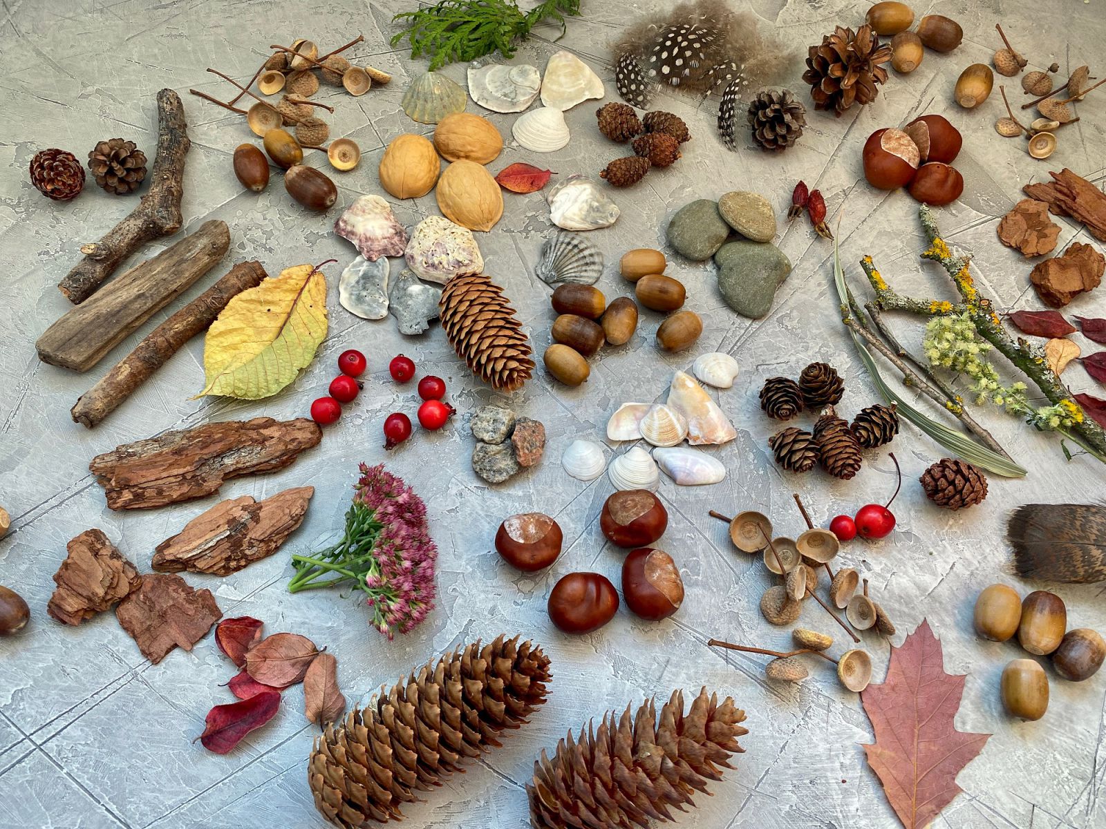 diverse voorwerpen uit de natuur, bv, stenen, takken, bladeren, schelpen